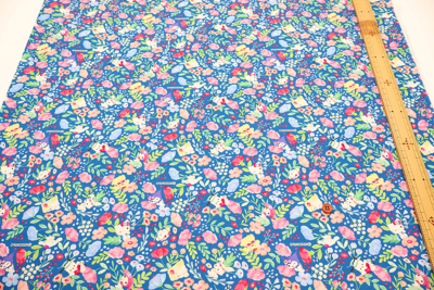 �J���[�o���G�[�V����