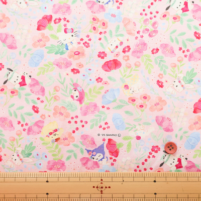 �J���[�o���G�[�V����