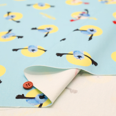 �J���[�o���G�[�V����