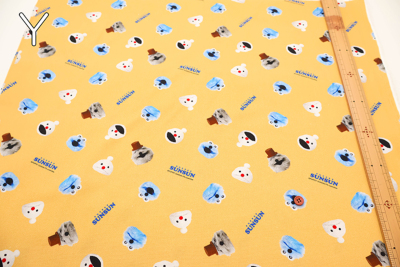 �J���[�o���G�[�V����