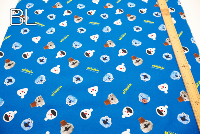 �J���[�o���G�[�V����