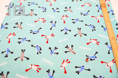 �J���[�o���G�[�V����