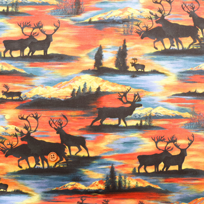 �J���[�o���G�[�V����