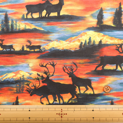 �J���[�o���G�[�V����