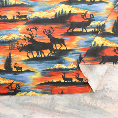 �J���[�o���G�[�V����