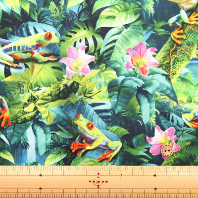 �J���[�o���G�[�V����