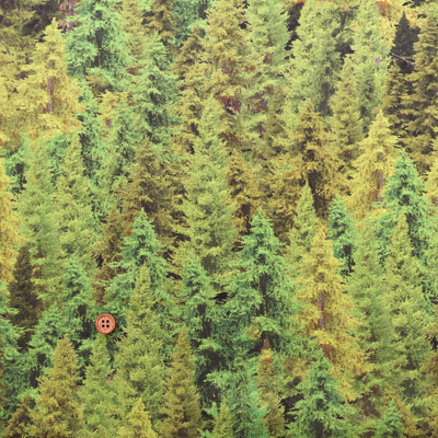 �J���[�o���G�[�V����