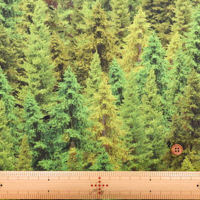 �J���[�o���G�[�V����