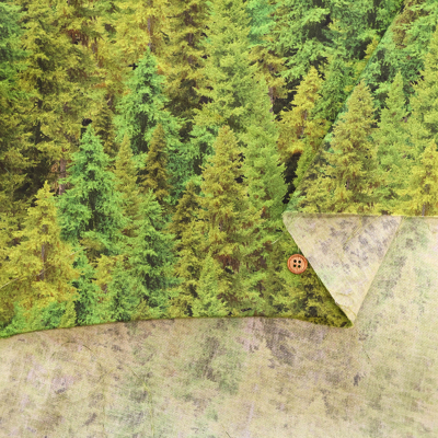 �J���[�o���G�[�V����