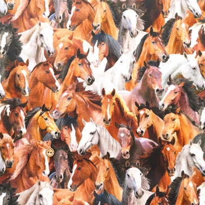 �J���[�o���G�[�V����