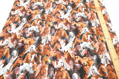 �J���[�o���G�[�V����