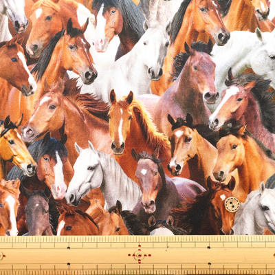 �J���[�o���G�[�V����