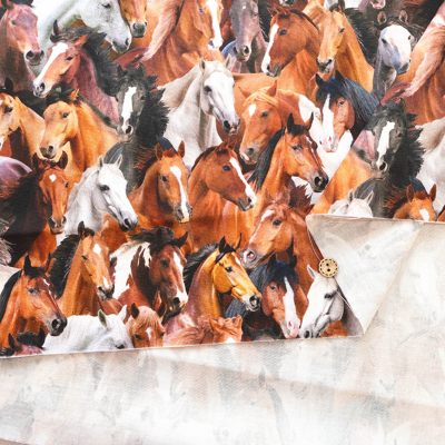 �J���[�o���G�[�V����