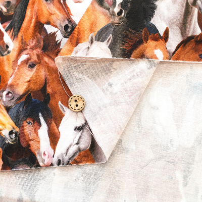 �J���[�o���G�[�V����