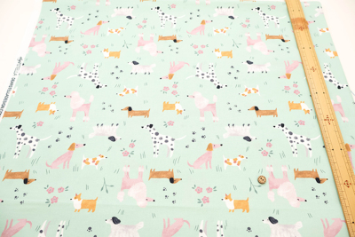 �J���[�o���G�[�V����