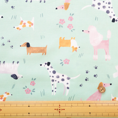 �J���[�o���G�[�V����