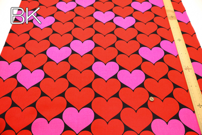 �J���[�o���G�[�V����