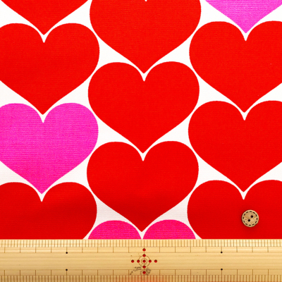 �J���[�o���G�[�V����