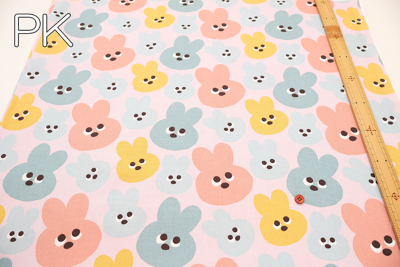 �J���[�o���G�[�V����