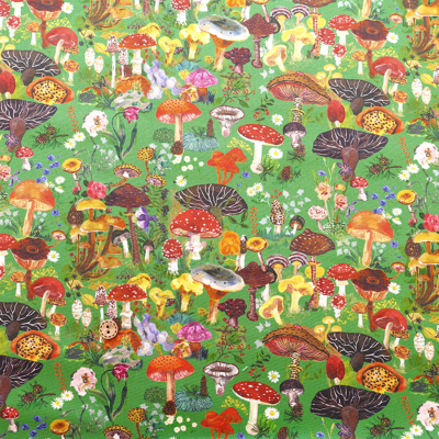 �J���[�o���G�[�V����