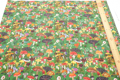 �J���[�o���G�[�V����