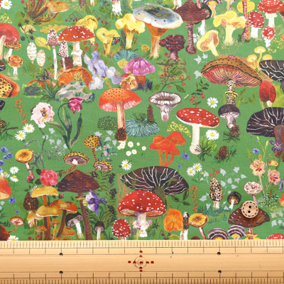 �J���[�o���G�[�V����