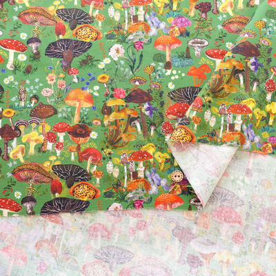 �J���[�o���G�[�V����