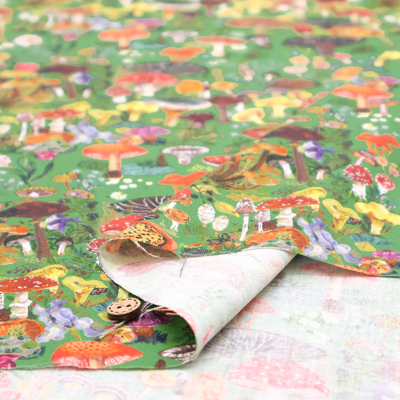 �J���[�o���G�[�V����