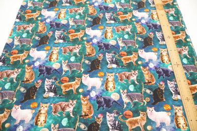 �J���[�o���G�[�V����