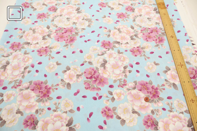 �J���[�o���G�[�V����