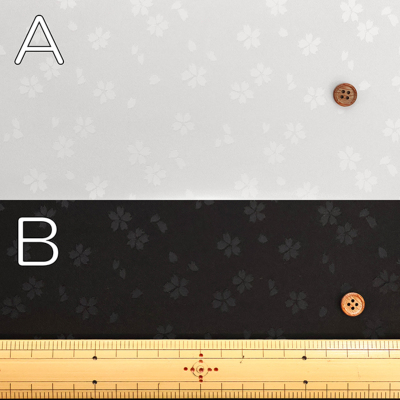 �J���[�o���G�[�V����