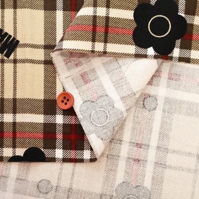 �J���[�o���G�[�V����