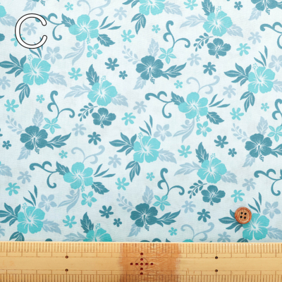 �J���[�o���G�[�V����