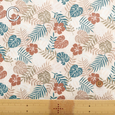 �J���[�o���G�[�V����