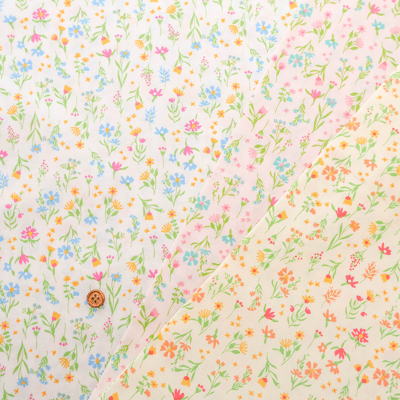 �J���[�o���G�[�V����