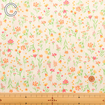 �J���[�o���G�[�V����