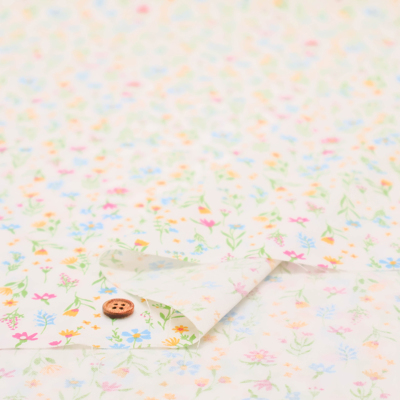 �J���[�o���G�[�V����