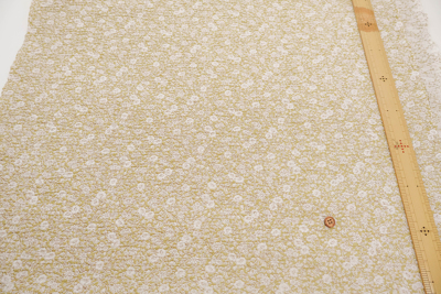 �J���[�o���G�[�V����