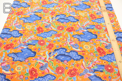 �J���[�o���G�[�V����