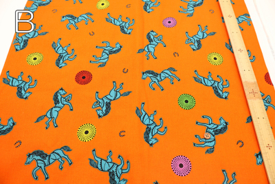 �J���[�o���G�[�V����