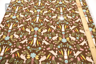 �J���[�o���G�[�V����