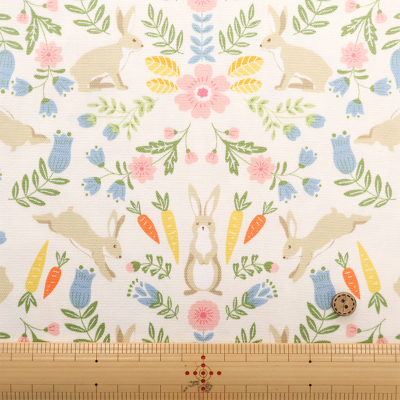 �J���[�o���G�[�V����