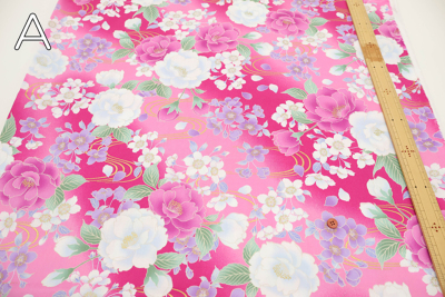 �J���[�o���G�[�V����