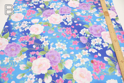 �J���[�o���G�[�V����