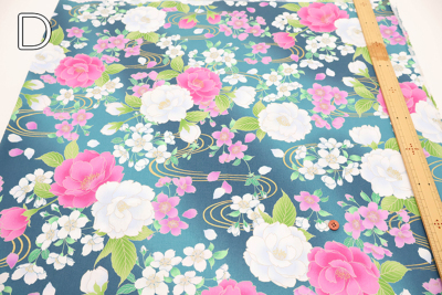 �J���[�o���G�[�V����