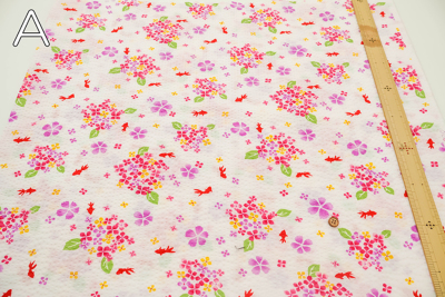 �J���[�o���G�[�V����