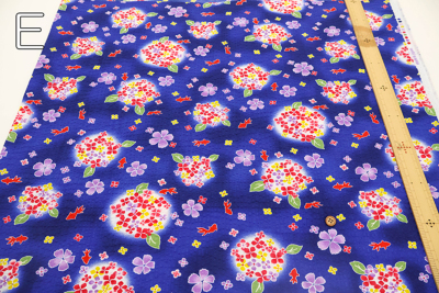 �J���[�o���G�[�V����