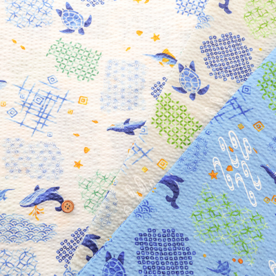 �J���[�o���G�[�V����