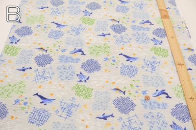 �J���[�o���G�[�V����