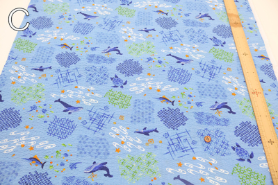 �J���[�o���G�[�V����